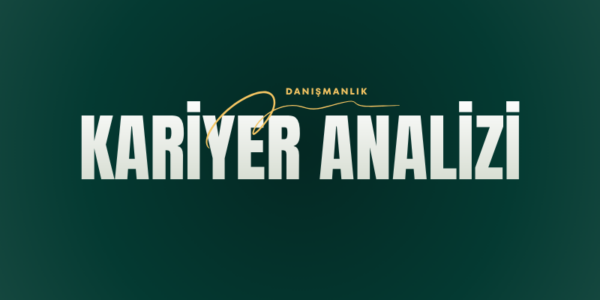 Kariyer Analizi